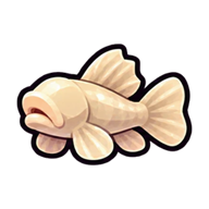 Blind Goby