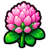 Clover