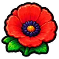 Poppy