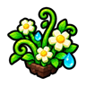 OVERGROWTH