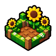 Sunflower Fields